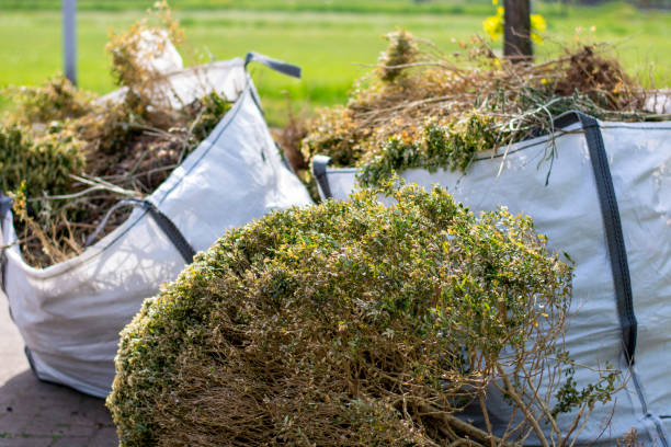 Yard Cleanup Services in Indian Lake, MO